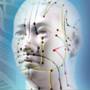 TCM Acupuncture & Herbal Practitioners survey